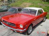 Mustang
